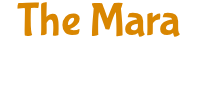 The Mara OTel